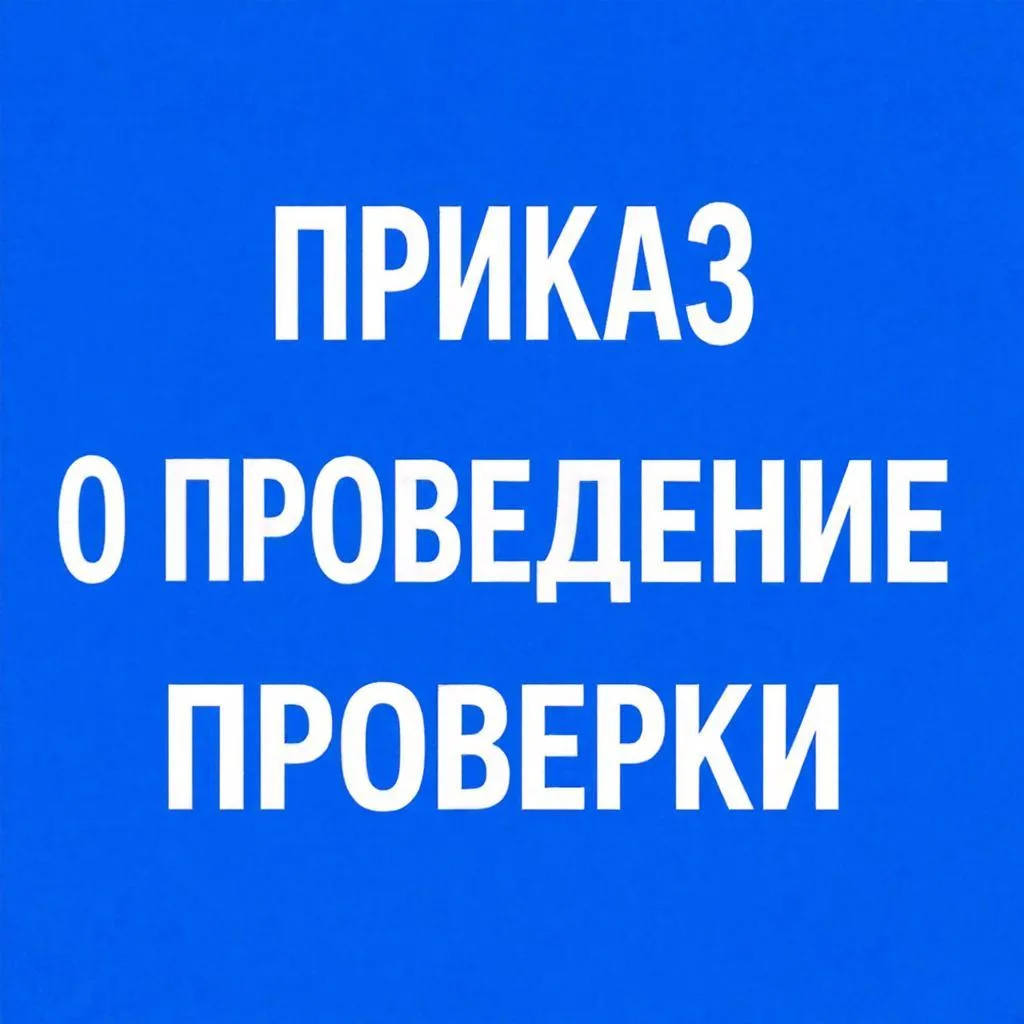 Приказ о проведении проверки